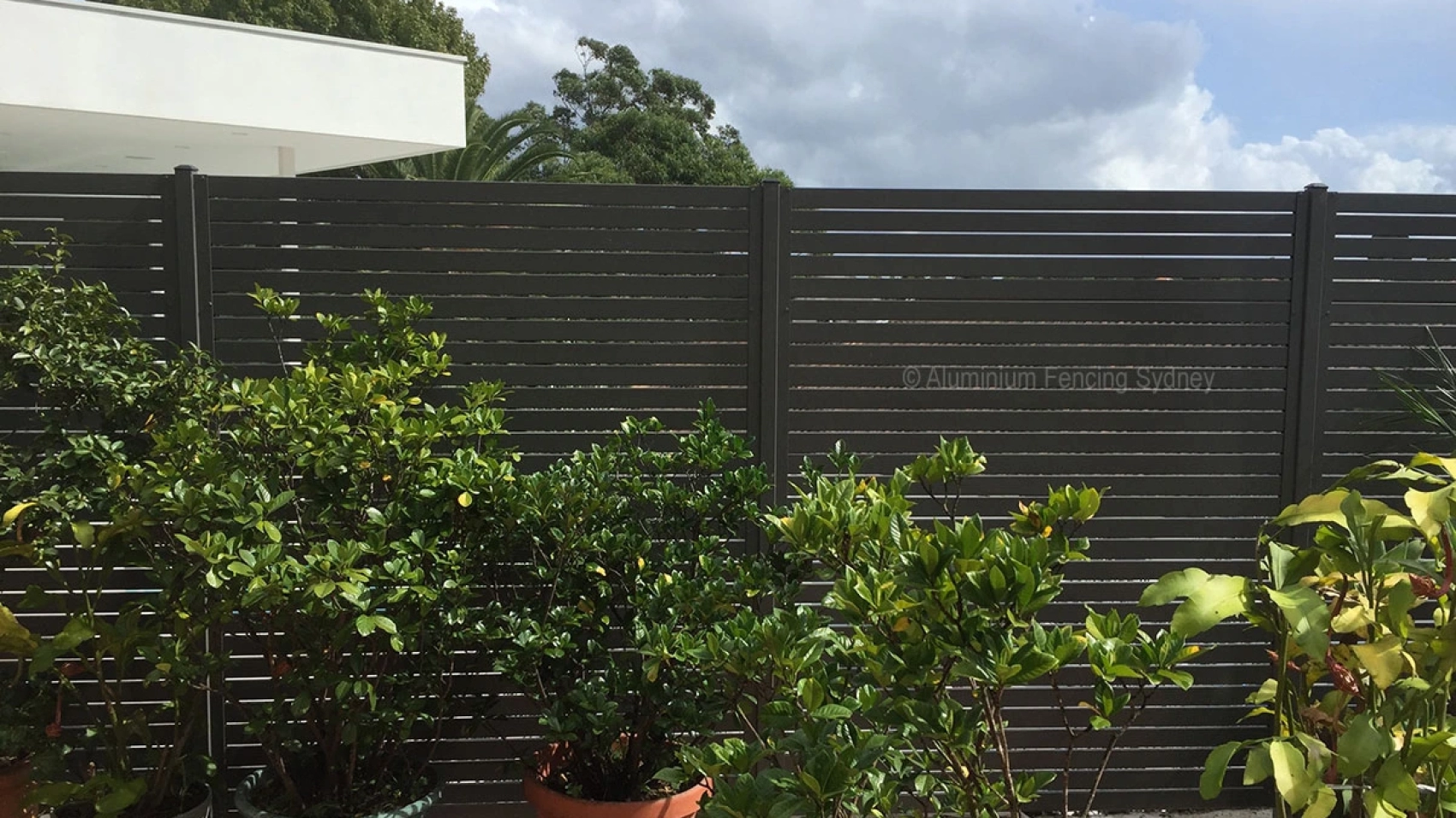 AFS Most Popular Fence Colours In Sydney